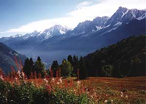 View of Chamonix valley