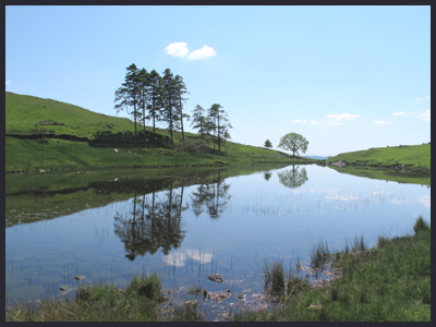 Near Staveley, just off the Dales Way
