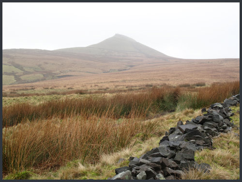 Shutlingsloe - 1/1/11