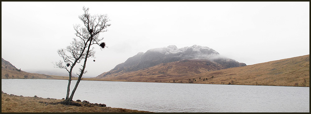 Early morning view of Binnean Shuas from Knipe Copse