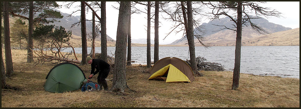 Our wild camp at Knipe Copse, beside Lachan na h-Earba