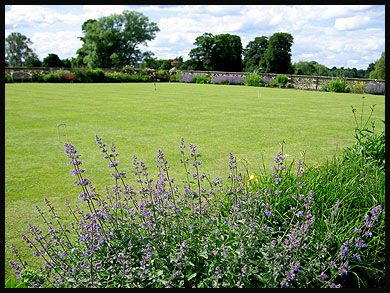 The Croquet Lawn