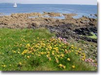 View from Nare point