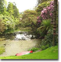 Upper lake at Heligan