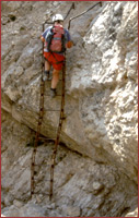 Climbing one of the ladders