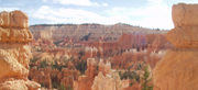 Hoodoos at Bryce Canyon