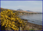 Paps of Jura from the campsite