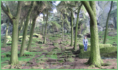 Below The Roaches