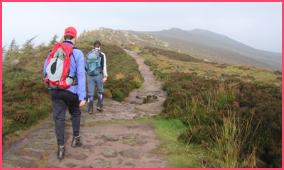 On The Roaches