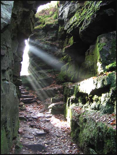 Inside Lud's Church