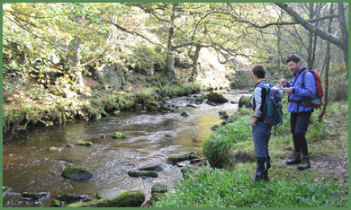 Beside the River Dane