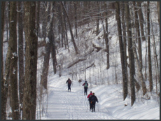 Up the hill beyond Shilly Shally, on trail 1