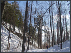 My favourite trail - route 3,  'Burma Road'