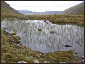 View west from Bealach Bhearnais