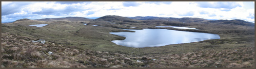 Balmacaan Forest panorama