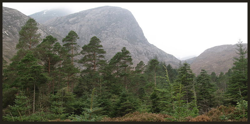 Fuar Tholl's cliffs, from Coire Lair