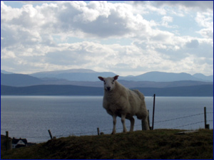 Views from the B869 beyond Lochinver