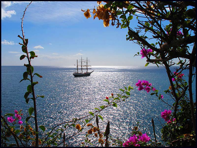 A view from Funchal