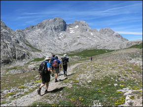 Picos de Europa