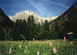 View of a big climb ahead